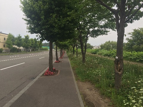 となり街の走行路