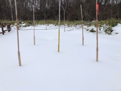 積雪計20ｃｍ