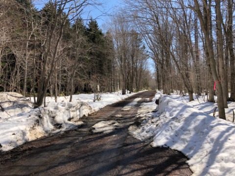 登満別に向かう基線は除雪されている。