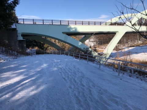 テクノパーク内の遊歩道もこんな感じ。