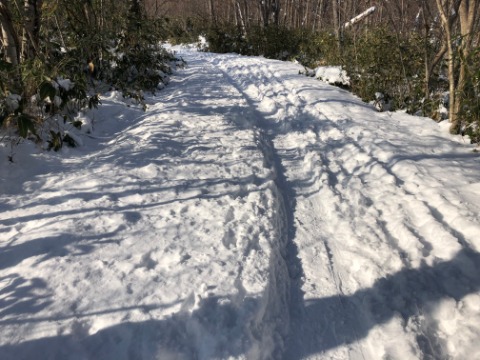 走りやすい遊歩道（瑞穂連絡線）と