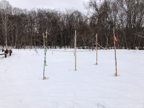 大沢口の積雪計50ｃｍ。