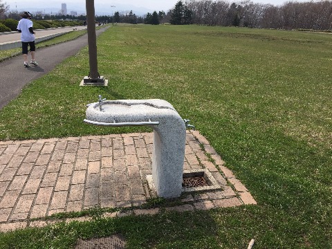 公園内の給水施設も使えるようです。