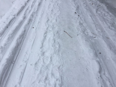 遊歩道の両脇はスキーの跡。細いながらも圧雪路が続きます。