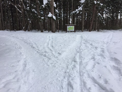 でも進んでいくと少しづつ道が狭くなってくる。