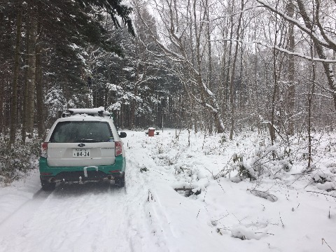 遊歩道の途中に工事関係車両が。係員が木にはしごをかけて枝選定をしていました。雪での倒木予防の為でしょうか。
