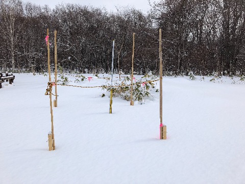 大沢口の積雪計は５０ｃｍでした。