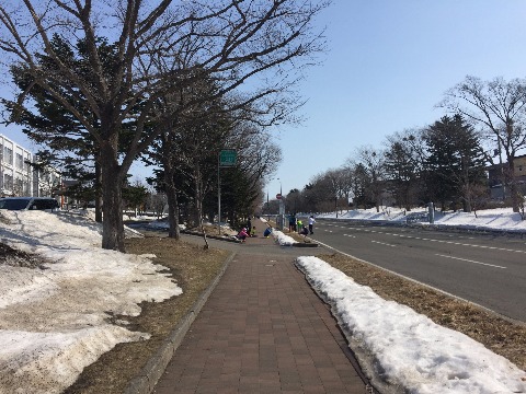 野幌森林公園にはいる路面は雪も解けています。近くの高校の陸上部の生徒さんが坂道ダッシュのトレーニングです。