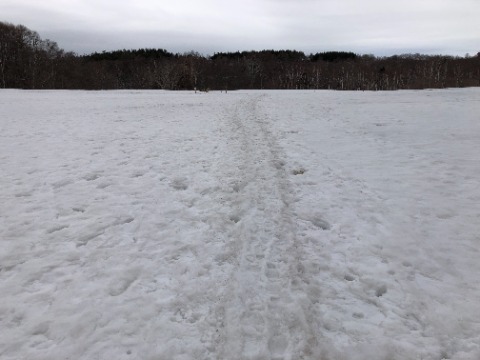 百年記念塔からふれあいコースへの雪原。走るのはちょっと…。