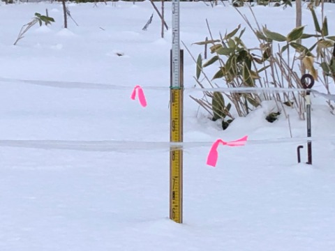 大沢口の積雪計　50～60ｃｍ