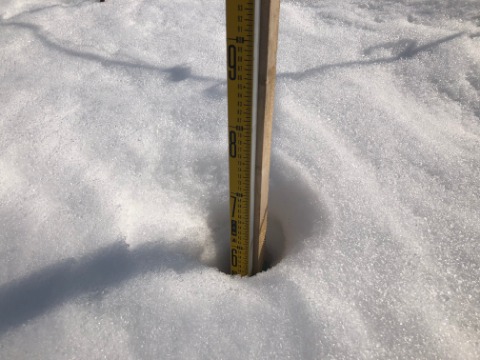 大沢口の積雪計は64ｃｍ