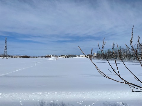 町内ルートから外れると雪原が続いています。