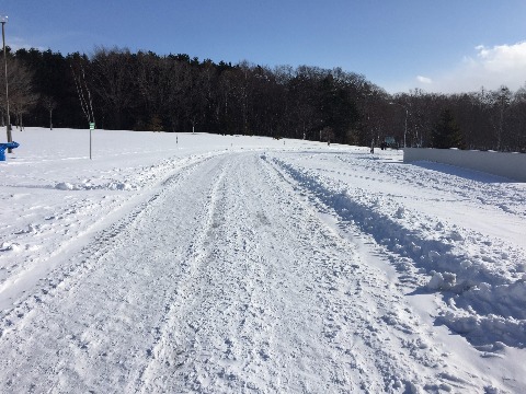 野幌森林公園の百年塔あたりは除雪がされていて走りやすい