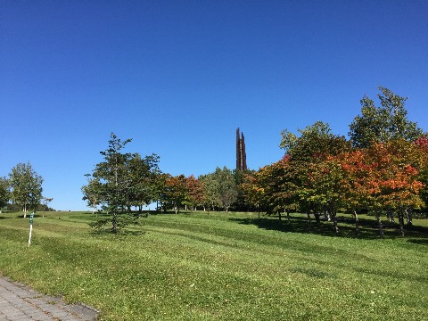 野幌森林公園１００年塔。　公園の木々も色づき始めています。