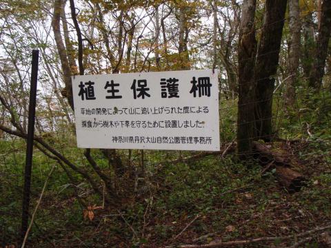 シカの食害を防止するための保護策。最初、人間用の保護策と思ったが違った。