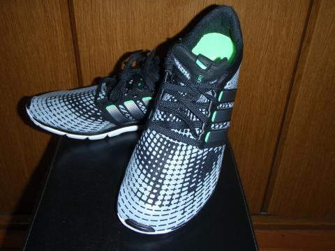 adipure gazelle シェイクダウン