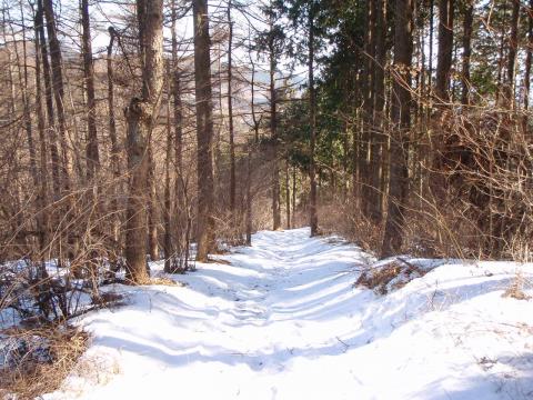 駆け下るのに絶好の雪斜面。