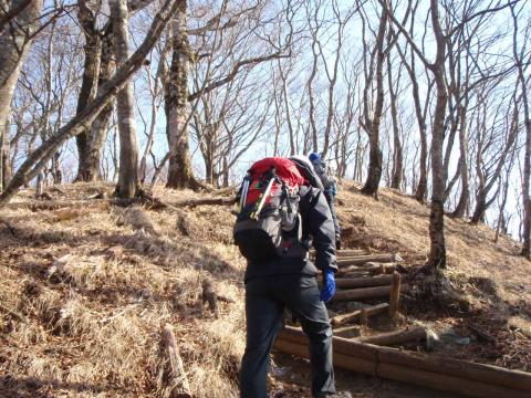 塔ノ岳への最後の登り。