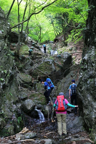 棒ノ折山