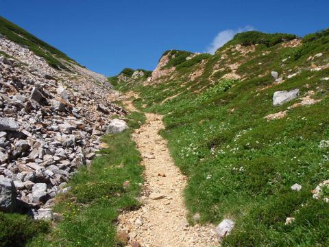 薬師岳の登りにかかる。右側には高山植物のお花畑。