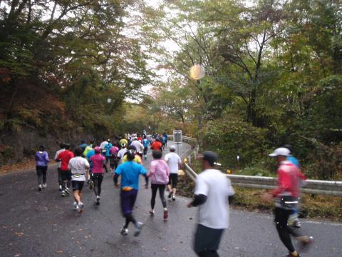 坂道下り。みんなそんなには飛ばしていません。先が怖いから？