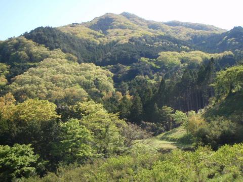 越えてきた笠山。下りはかなり急だった。