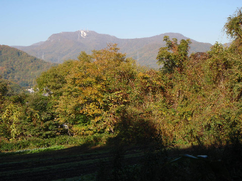札幌・朝トレラン