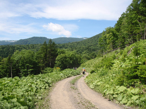 大雪山ウルトラトレイル110km 1日目