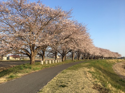 鬼怒川は本物の川