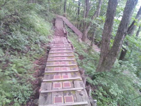 南口登山道の頂上付近は、今にも踏み抜きそうな渡り廊下が数百ｍ続く。