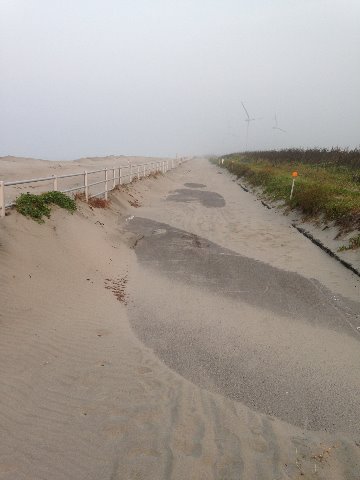 海沿いのサイクリング＆JOGロードはとことどころ砂にうもれて走り難いところがある。