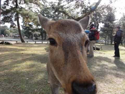 印をつけさせてもらった
（意味不明）