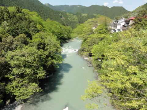 御岳駅前の橋から多摩川
増水して濁っています。
新緑が鮮やか