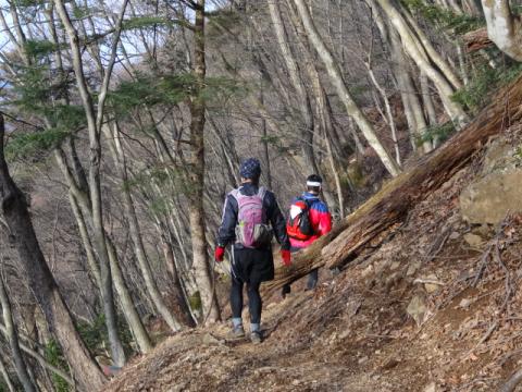 丹沢三峰を越えたあたりから、天気回復。