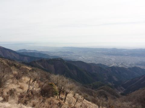 もちっといいカメラが欲しくなった。