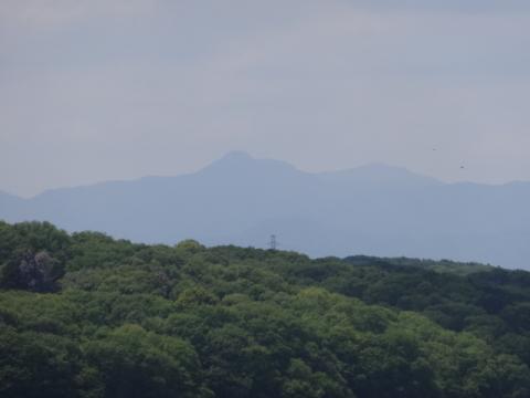 一番高いのは大岳山
右隣が御前山、その隣は鍋焼きうどん