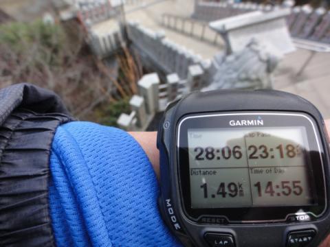 大山ケーブルのバス停発14:26
下社着14:55
28分6秒！

午前発だと、他の登山者が邪魔になるのであえて遅い時間に出発した。
日が暮れないうちに登って下りてこないと大変なことになる！
と、自分にプレッシャーをかける意味でも、これは効果的だった。