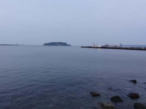 三笠公園からは猿島が見える。
ここにも10年ぐらい前に船で上陸したんだぜぇ～

三笠公園の後は、長浦港方面に寄り道。
その理由は・・・