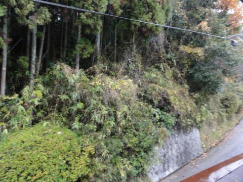 飛鳥の民宿二階の部屋から。
雪降ってます。