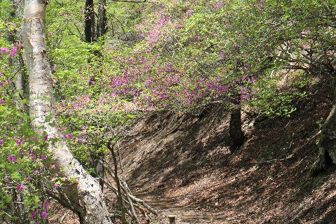 雲取山登山