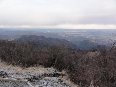 遠くにスカイツリーが見えたのだが・・・
写ってない。