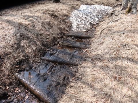 登山道がぐちゃぐちゃ～～～～