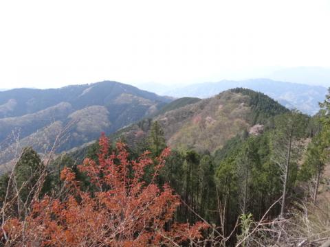 ハセツネ30応援団空振り珍道中