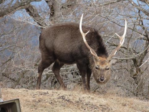 三角は持ってきたか？
（意味不明）