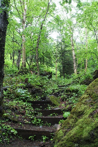 双瀑台への道 やっぱり山道は気持ちがいい♪