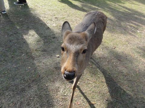 印をつけさせてもらうぞ