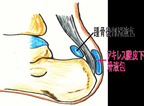 古東先生の診断。