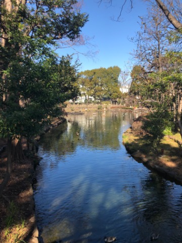 戸越公園