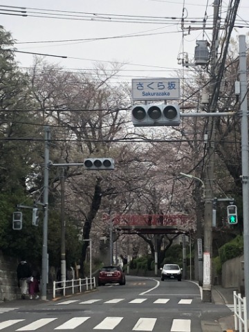 1時間ウォーキング