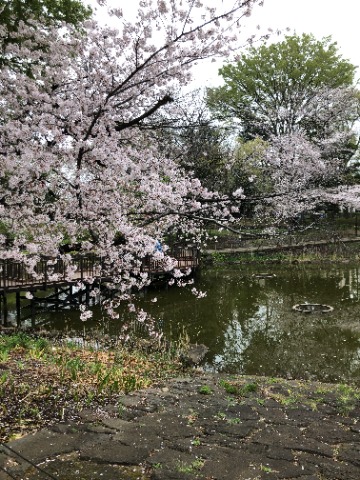 火曜日はドリルの日。公園で動きのあるトレ